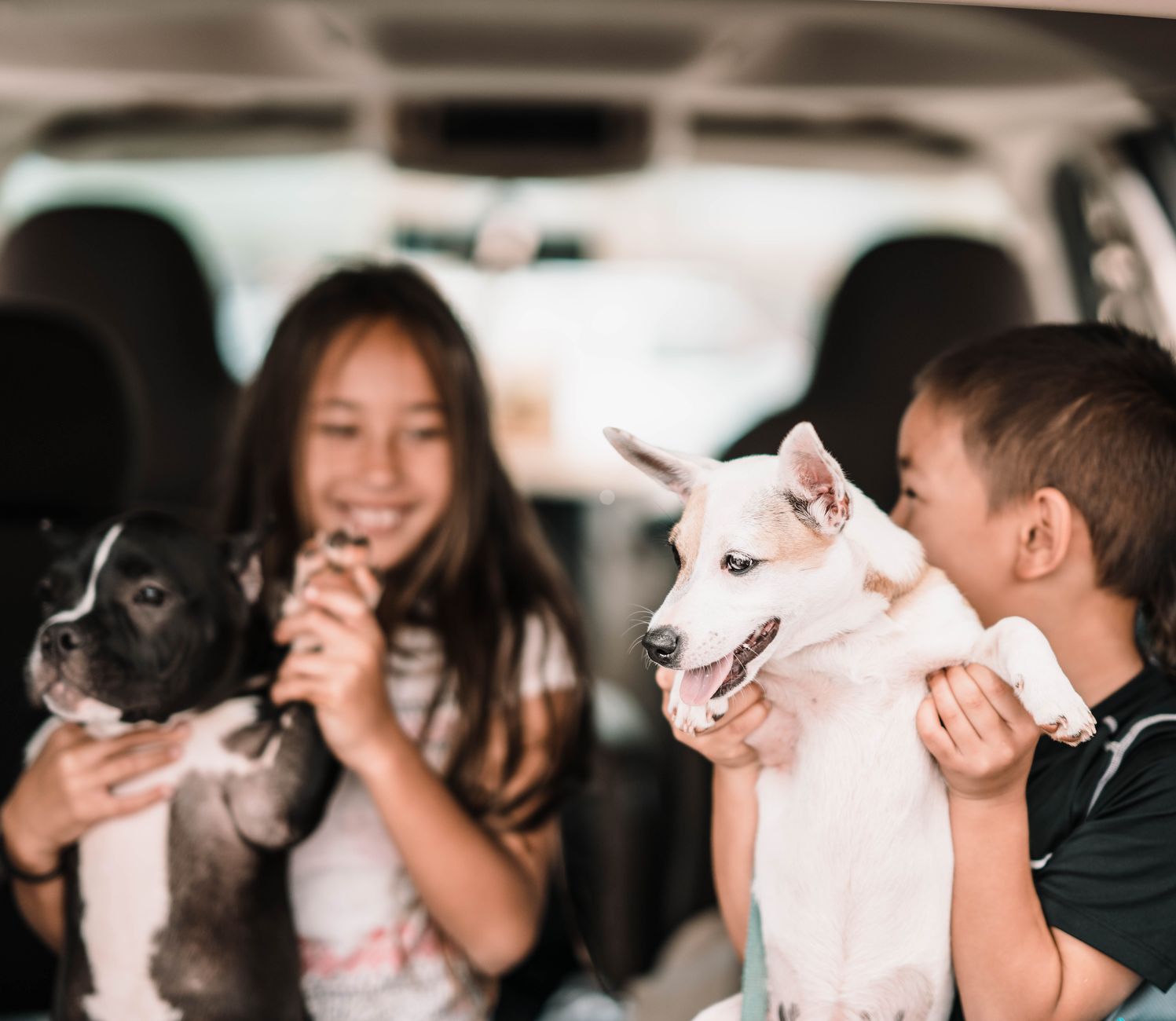Hunde Reise Tipps 2026: Der ultimative Guide für entspanntes Reisen mit Hund